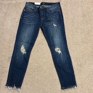 Judy Blue Midnight Distressed Skinny Jeans